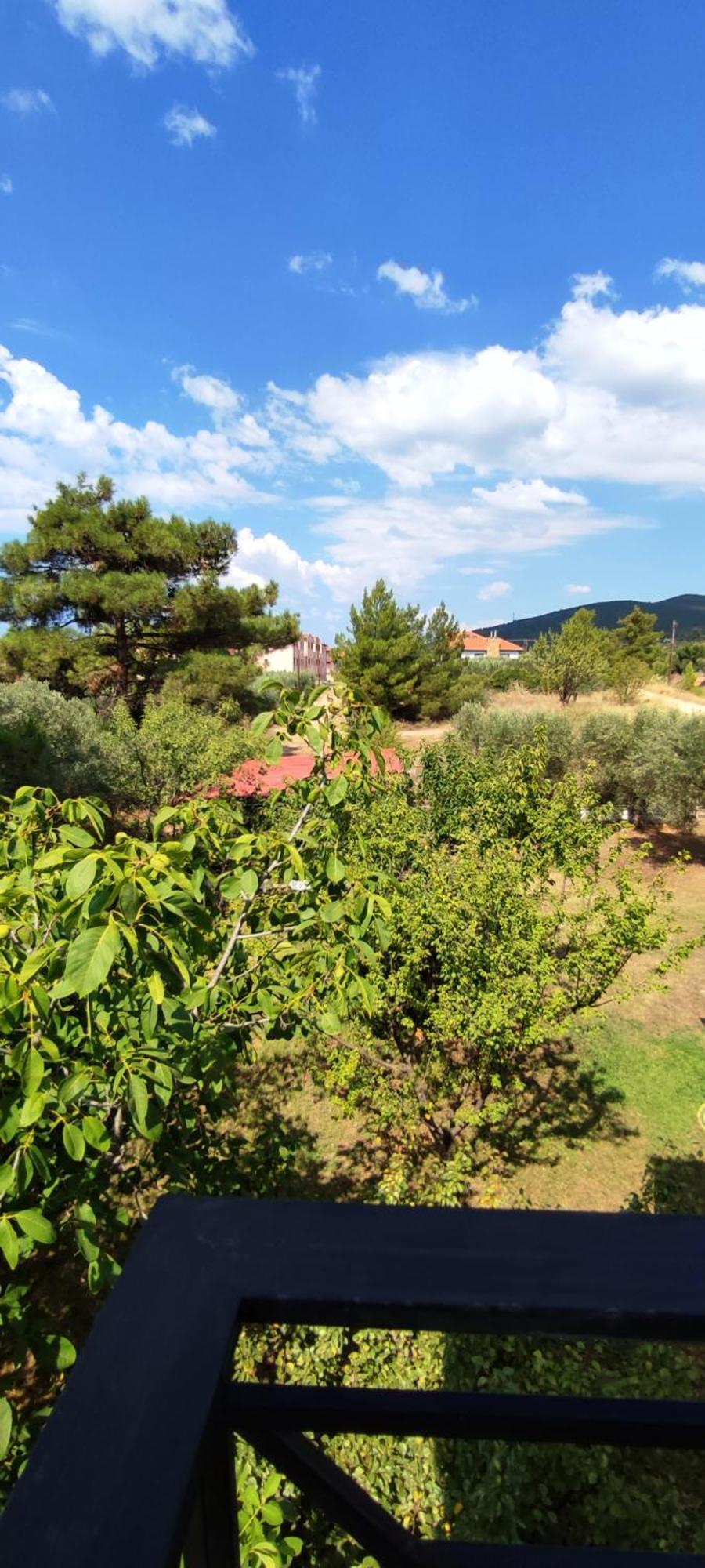 Little Hause Hotel Pszakúdia Kültér fotó